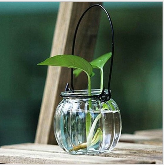 The manufacturer produces wooden stopper bottles, flower tea cans, pumpkin glass bottles, wedding candies, lucky star bottles, transparent sealed tea cans and packaging bottles Application Scenario