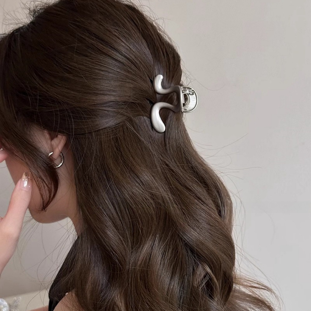 Small metal hair clip for women with a high-end feel, 2025 new style, half-tied hair at the back of the head, high ponytail claw clip, shark clip hair accessory details Picture
