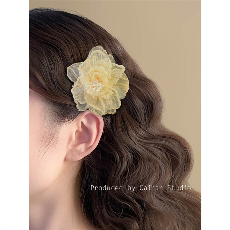 Mesh hair clips with a floral atmosphere, women's hair accessories for summer 2025, new bangs hair clips, super ethereal and pure, wind edge clips Specification drawing