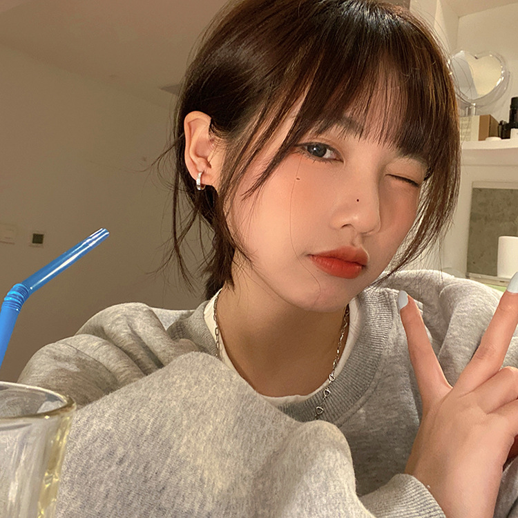 Korean fashion, light luxury, super flash zircon earrings, women's high-end, niche temperament, versatile, the same style of earrings as Internet celebrities wholesale Specification drawing
