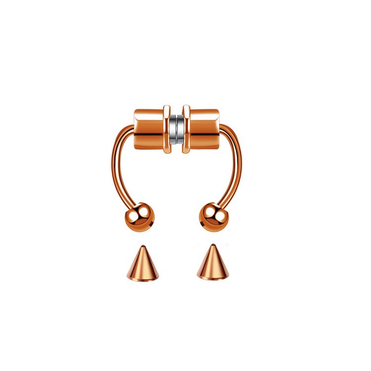 Cross-border new product: Stainless steel magnetic artificial nose ring, non-perforated nose band ring, horseshoe ring, body piercing accessory Application Scenario