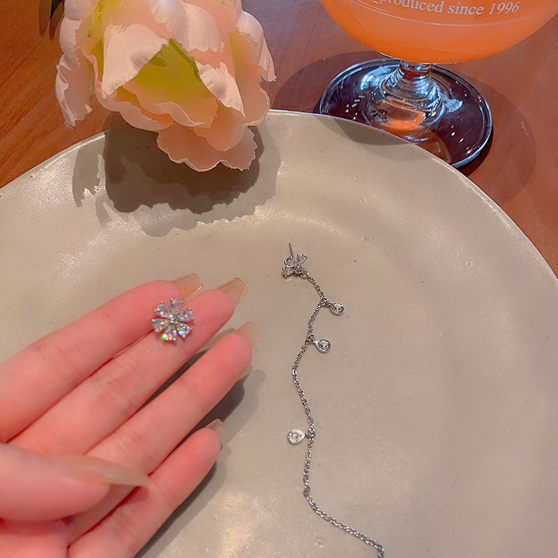 925 Silver Needle Light Luxury Long tassel Flower earrings, women's ins style, high-end design sense, versatile and elegant stud earrings Application Scenario