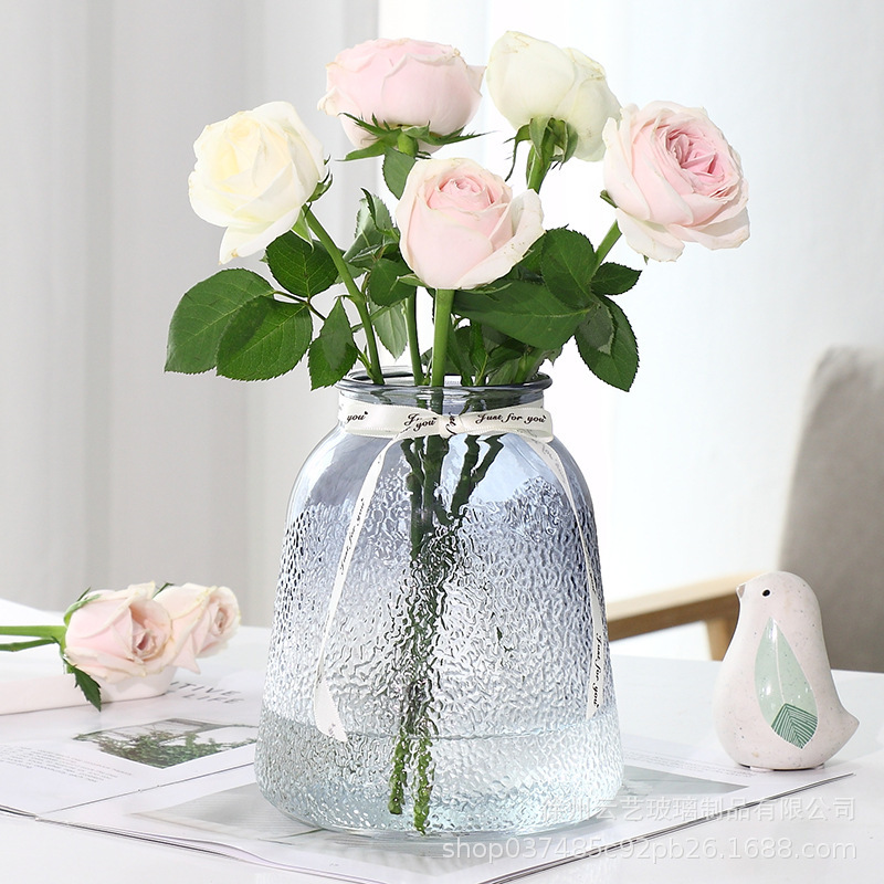Garden glass vase, transparent water-grown living room decoration, fresh flower vase, simple lucky bamboo dried vase, fresh and small Application Scenario
