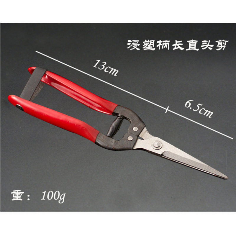 Luoding stainless steel fruit scissors, new medium-sized citrus fruit scissors, round-head citrus fruit picking scissors, scissors for fruit picking undefined