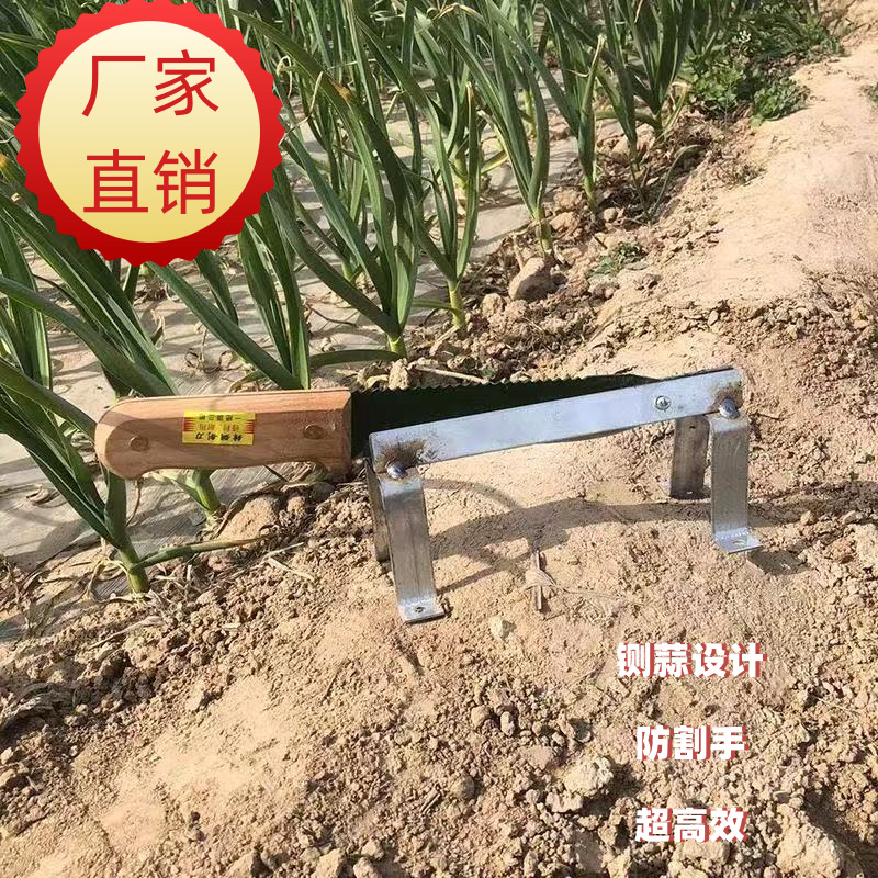 Household small guillotine knives, agricultural tools, rural farm work, small farm tools, gate knives, garlic special guillotine knives, garlic and scallion knives and scissors full figure
