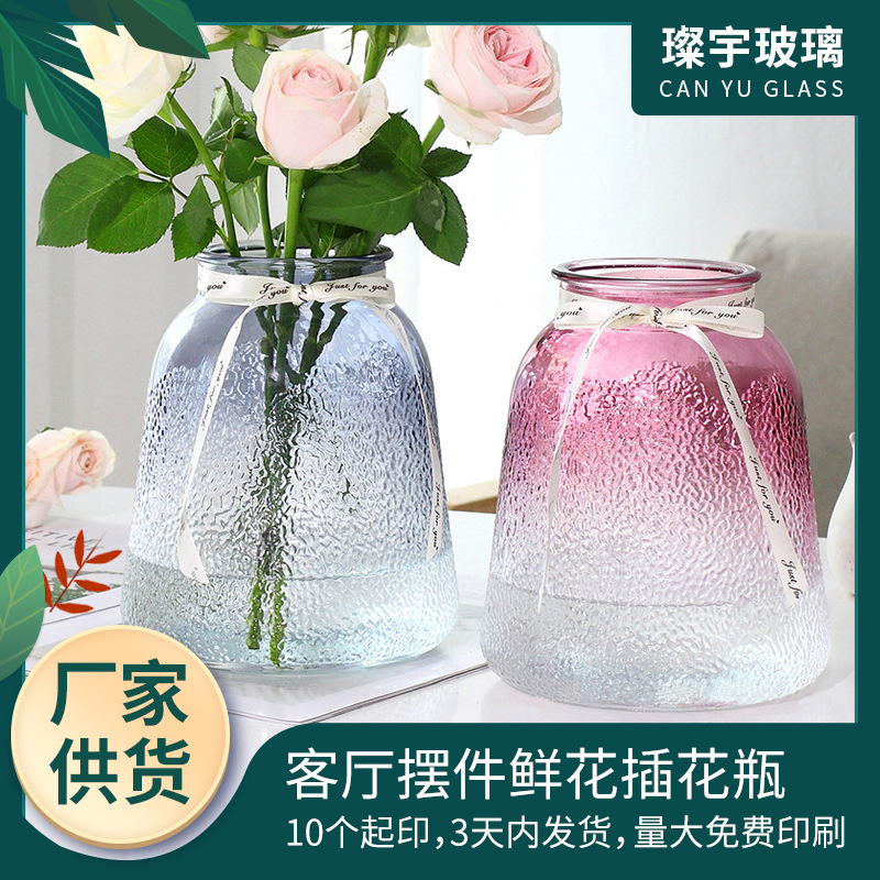 Garden glass vase, transparent water-grown living room decoration, fresh flower vase, simple lucky bamboo dried vase, fresh and small full figure