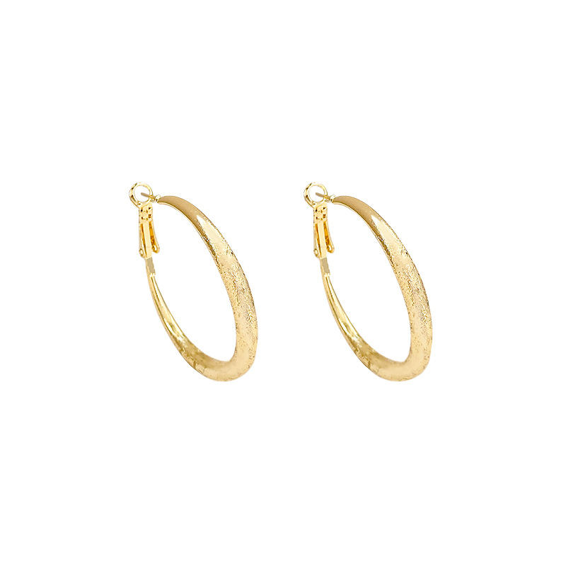 High-end matte starry sky silver ear rings, simple and elegant for women, versatile and personalized earrings and accessories wholesale Item Picture