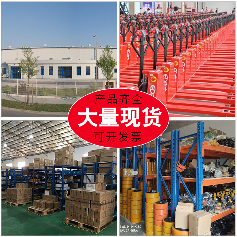 Linde Heli Zhongli Nuoli electric forklift parts, Small Diamond motor battery charger component replacement details Picture
