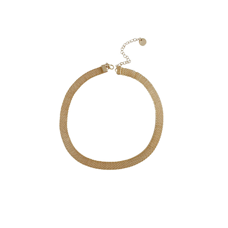 European and American choker necklaces, neck chains, collarbone chains, exaggerated metal necklace accessories for women, 2023 new style Item Picture