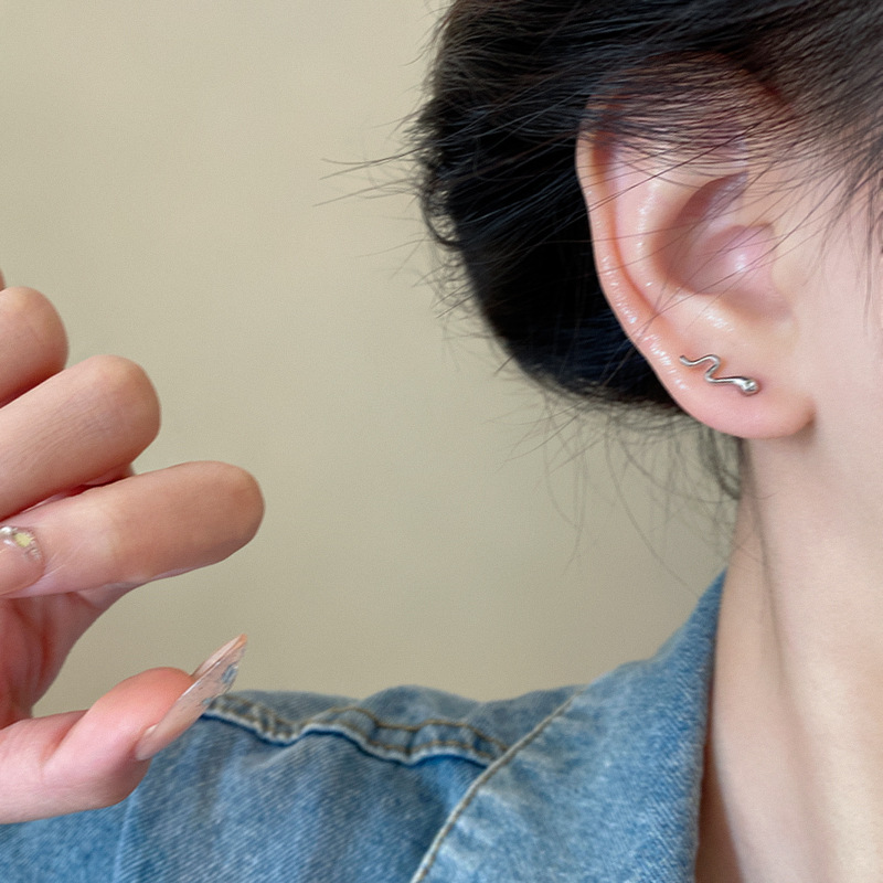 Cold and stylish mini snake stud earrings for women, with a niche design sense, exquisite and cute little snake earrings, a unique and trendy ear accessory Application Scenario