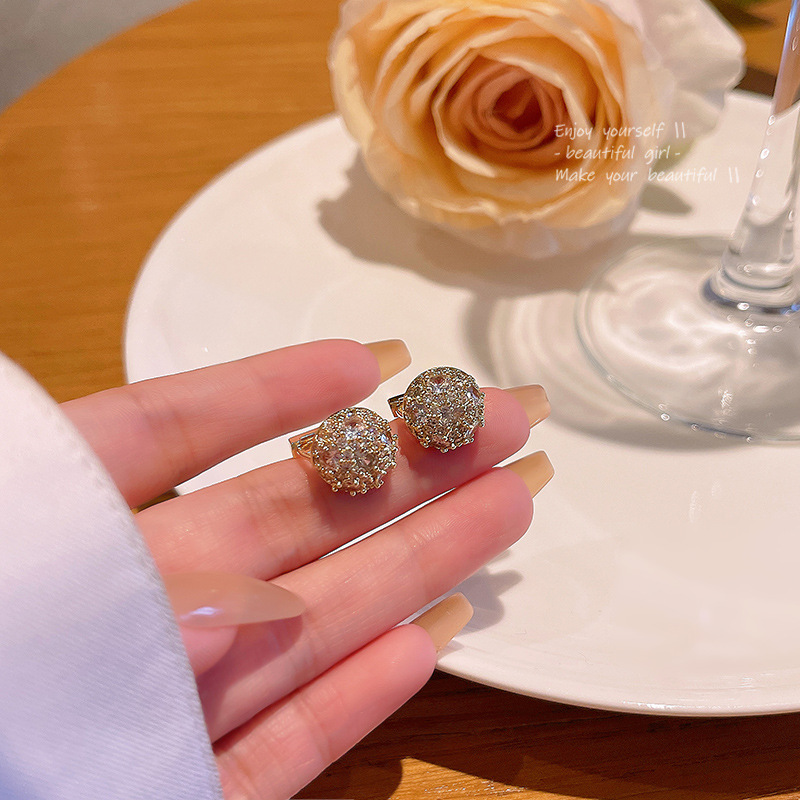 S925 Silver needle exquisite Zircon circular stud earrings for women, light luxury, high-end design sense, versatile and personalized earrings wholesale full figure