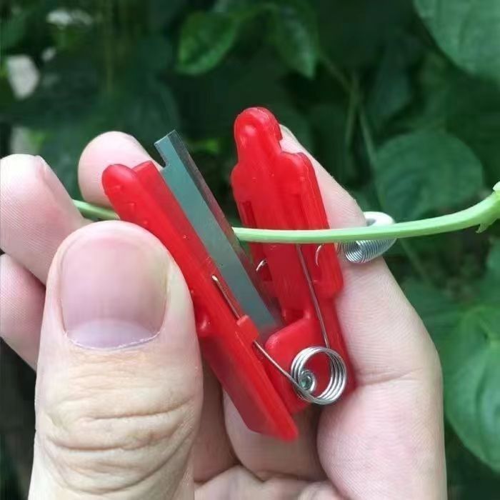 Finger picking, small farm scissors, sharp cucumber tips, thumb knife, small vegetable picking knife, finger small guillotine knife, ring knife Specification drawing