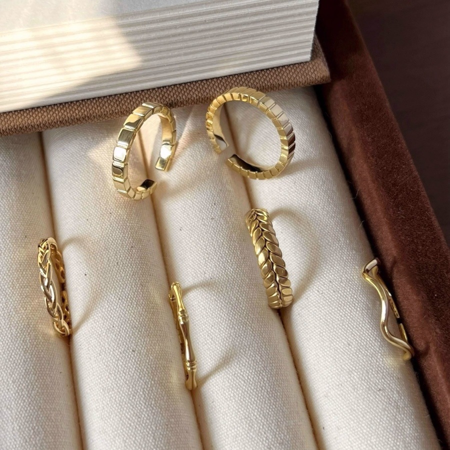 Golden wheat ear plain ring, women's light luxury and high-end index finger ring, unique and niche design, versatile open ring trend details Picture