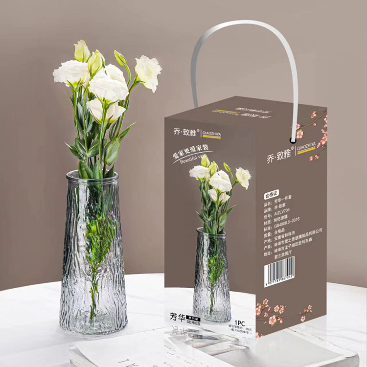 Simple and modern glass vases, fruit plates, high appearance level, ins style, living room and bedroom desktop, water-grown flower arrangement ornaments for decoration Application Scenario