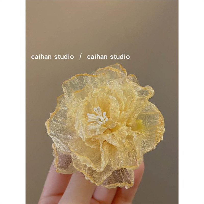 Mesh hair clips with a floral atmosphere, women's hair accessories for summer 2025, new bangs hair clips, super ethereal and pure, wind edge clips Application Scenario
