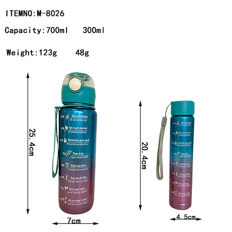 High-gloss gradient plastic straw water cup, large-capacity internet-famous two-piece set for sports and fitness, portable carrying rope water bottle Application Scenario