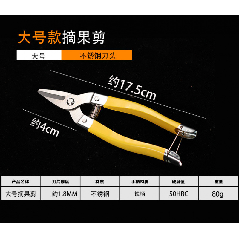 Luoding stainless steel fruit scissors, new medium-sized citrus fruit scissors, round-head citrus fruit picking scissors, scissors for fruit picking undefined