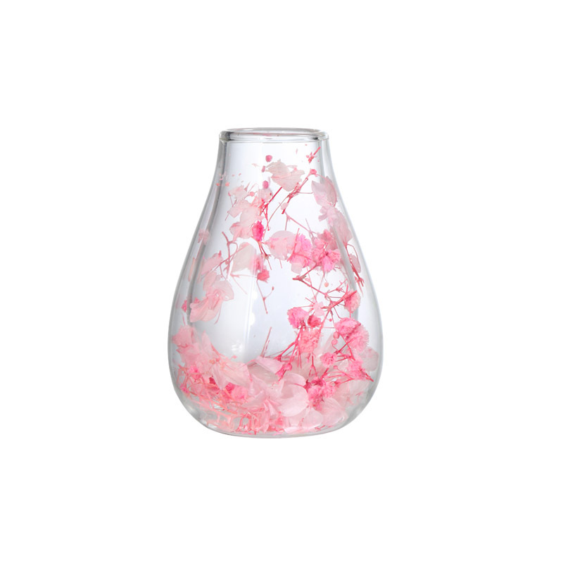New high borosilicate glass universal double-layer cup home glass landscape anti-scald high borosilicate American dry flower glass cup Item Picture
