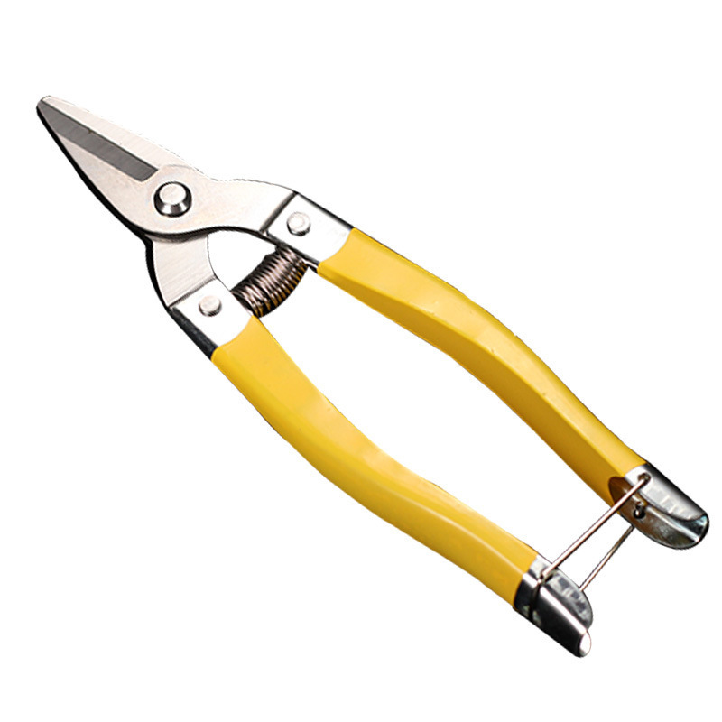 Luoding stainless steel fruit scissors, new medium-sized citrus fruit scissors, round-head citrus fruit picking scissors, scissors for fruit picking Item Picture