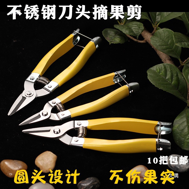 Luoding stainless steel fruit scissors, new medium-sized citrus fruit scissors, round-head citrus fruit picking scissors, scissors for fruit picking Application Scenario