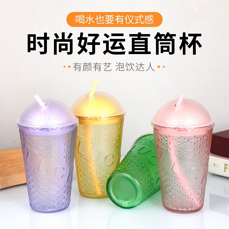 Summer InS-style simple gradient straight straw cup, portable water cup for office and home use, double-drinking cup full figure