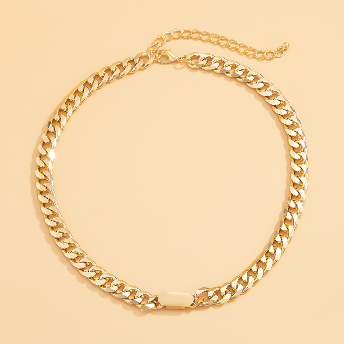 European and American cross-border accessories, hip-hop, trendy, street geometric necklaces, simple and individual, metal clasp, thick chain necklaces Application Scenario