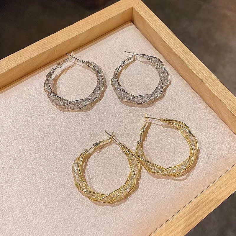 High-end, light luxury circle earrings, metal super shiny ear rings, niche design sense, European and American ins cold style earrings for women details Picture