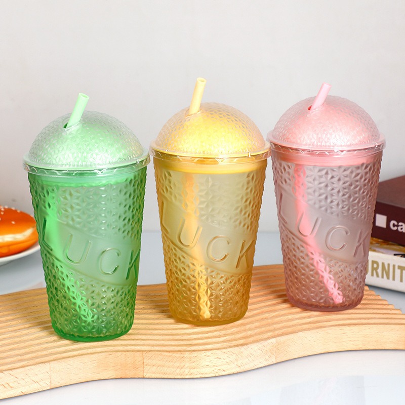 Summer InS-style simple gradient straight straw cup, portable water cup for office and home use, double-drinking cup Application Scenario