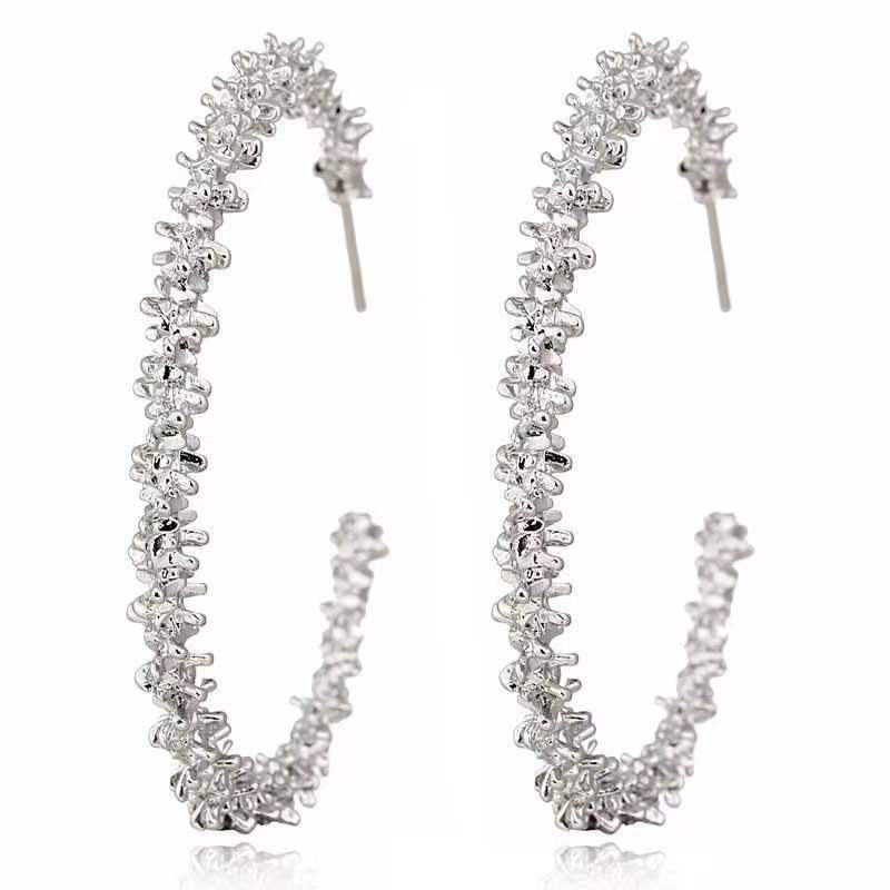 ins niche design sense, super sparkling silver ear rings, women's light luxury, versatile, fashionable and high-end ear studs, cold style earrings Item Picture