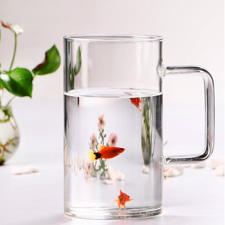 1000ml large-capacity transparent drinking cup, simple household cup, men's office with lid and handle Application Scenario