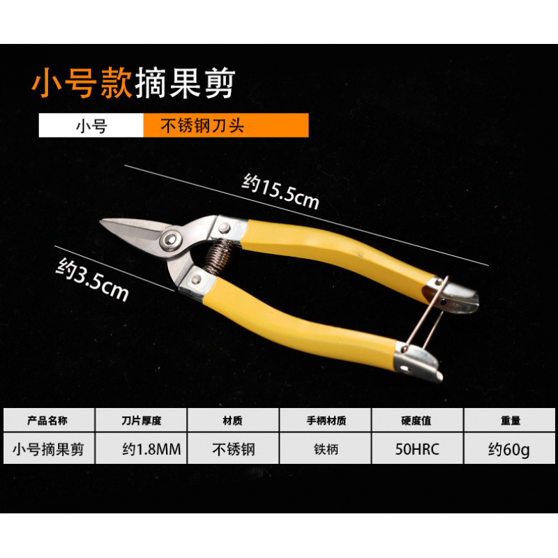 Luoding stainless steel fruit scissors, new medium-sized citrus fruit scissors, round-head citrus fruit picking scissors, scissors for fruit picking undefined