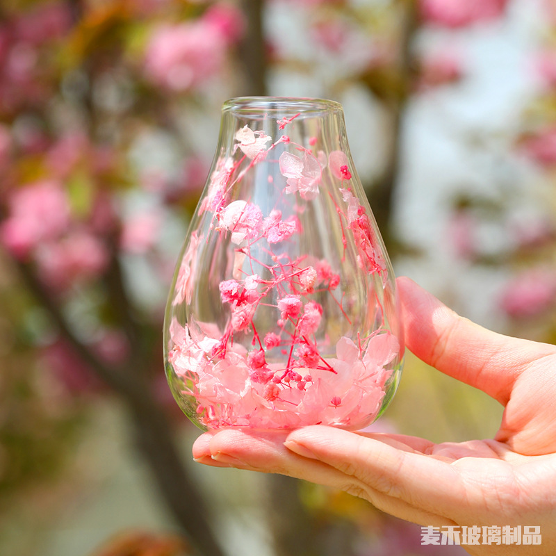 New high borosilicate glass universal double-layer cup home glass landscape anti-scald high borosilicate American dry flower glass cup Specification drawing