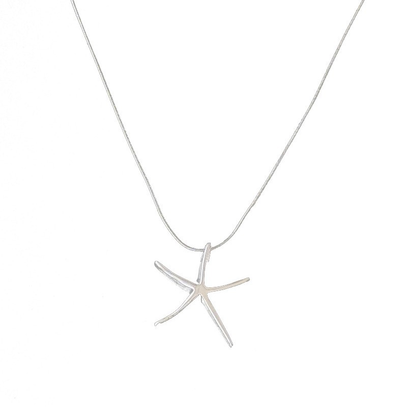 A simple silver three-dimensional small starfish pendant necklace with a unique design sense for women, fashionable and versatile collarbone chain Item Picture