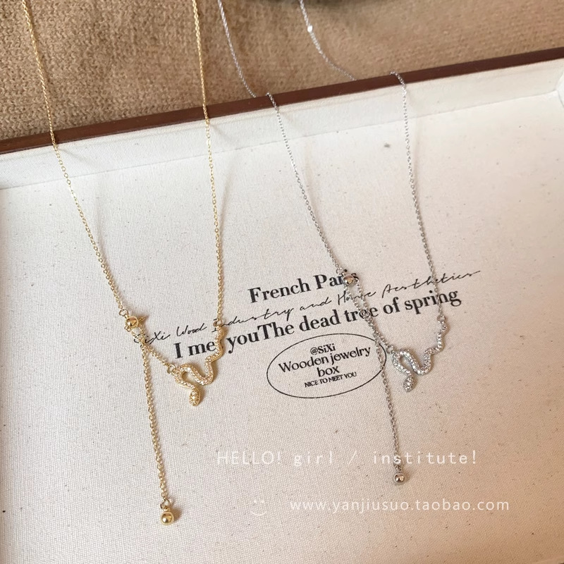 Limited Edition Spring and Summer fringe necklace for the Year of the Snake, a light luxury and niche collarbone chain for women, with a choker vibe Application Scenario