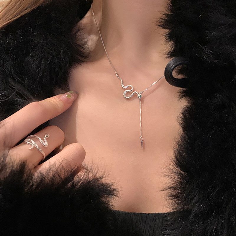 Simple and stylish snake tassel necklace for women, unique and fashionable, versatile necklace, collarbone chain for women Specification drawing