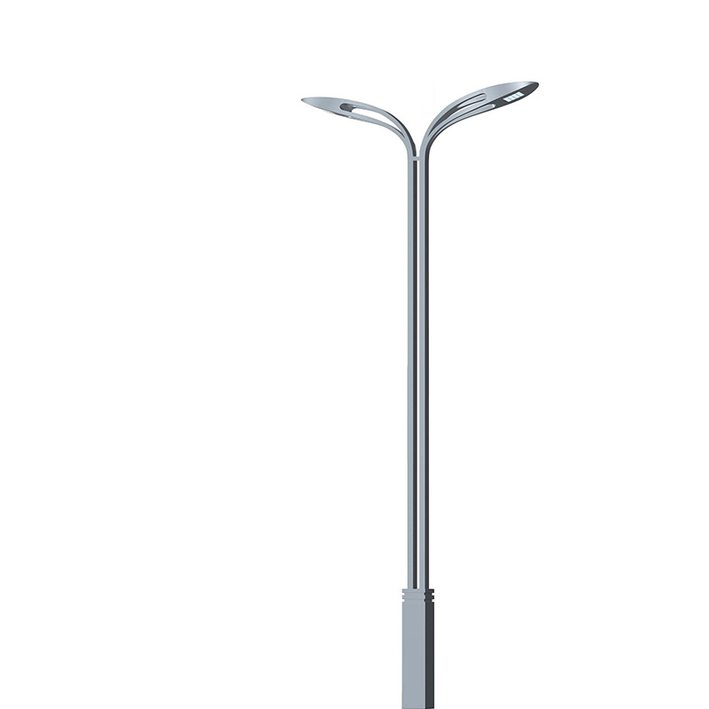 Parallel development, direct sales of dual-head LED street lamps, outdoor waterproof street lamps, single and double arm led street lamps Item Picture