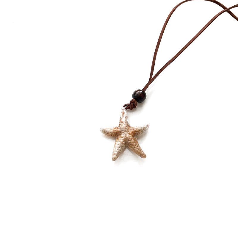 Starfish Pie Star Pendant Necklace for women, a light luxury and niche design long accessory, a sweet and cool seaside girl collarbone chain Item Picture