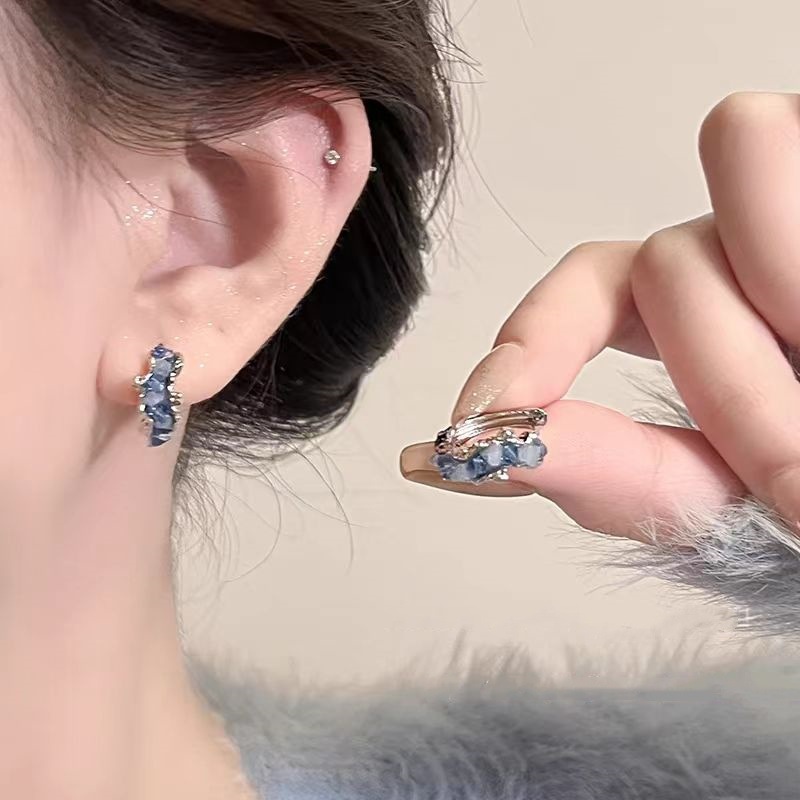 Dreamy Ocean ~ Blue Crystal Ear rings 2025 New Bestseller Earrings, Light luxury style, high-end feel Ear studs and earrings full figure