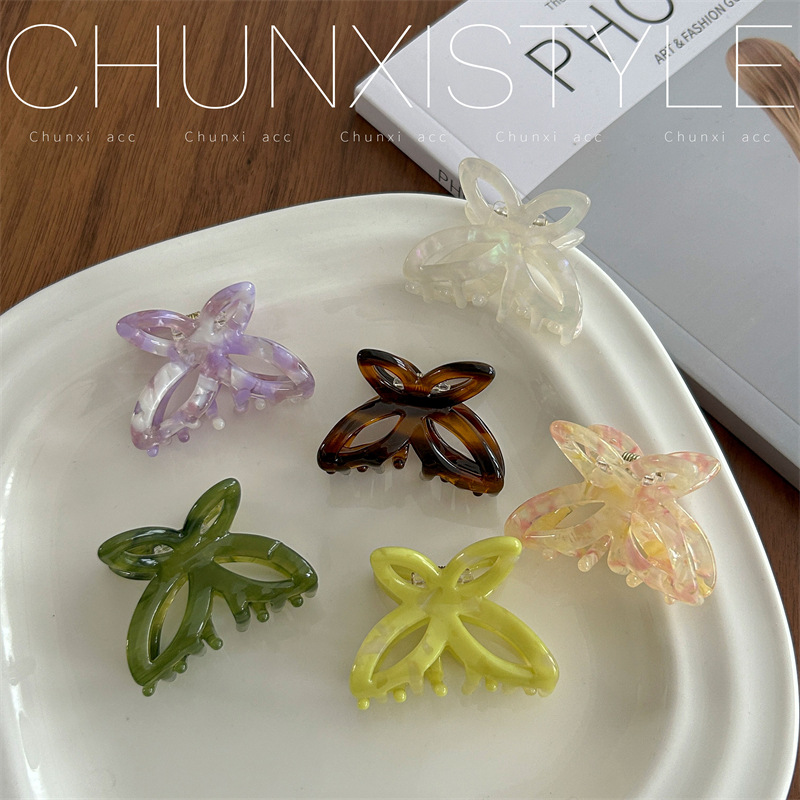 Fresh French butterfly hair clips, small super ethereal acetate hair clips, half hair tied at the back of the female head, shark clip headwear full figure
