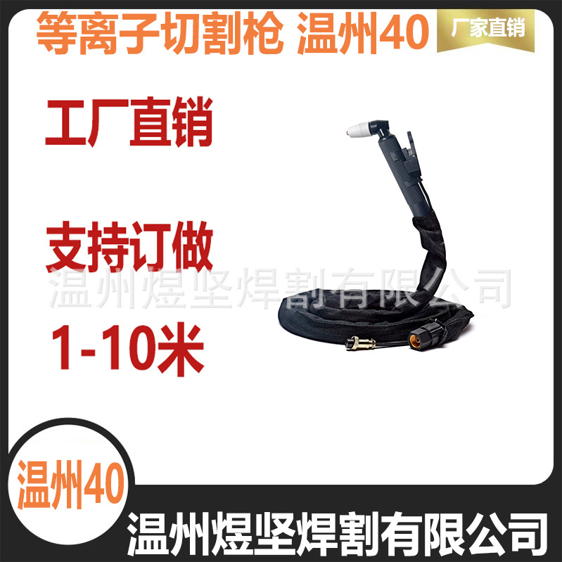Air plasma cutting gun PT-31 Wenzhou 40 gun head AG60 whole gun SG55 cutting gun WSD-60P welding gun full figure