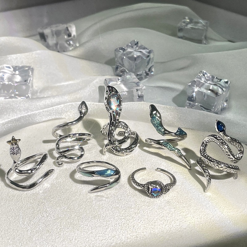 European and American punk cool snake-shaped opening ring, neutral hip-hop fashion personality index finger ring, cold style quality ring Application Scenario