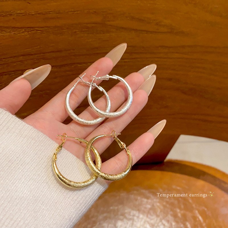 High-end matte starry sky silver ear rings, simple and elegant for women, versatile and personalized earrings and accessories wholesale full figure