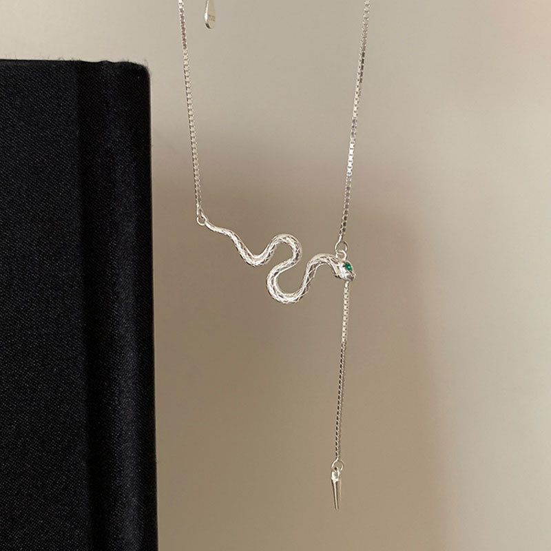 Simple and stylish snake tassel necklace for women, unique and fashionable, versatile necklace, collarbone chain for women Application Scenario