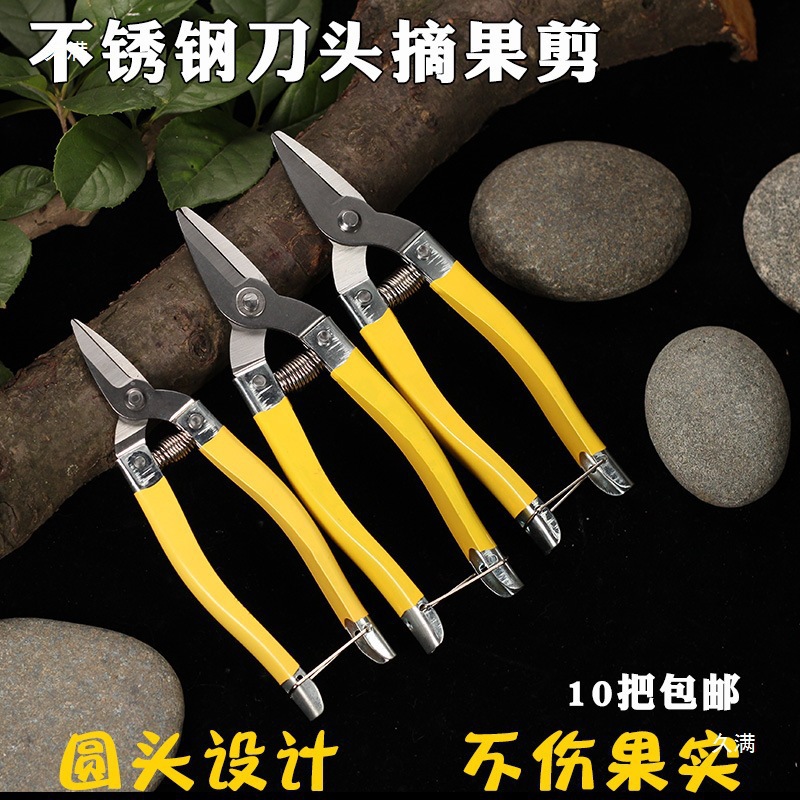 Luoding stainless steel fruit scissors, new medium-sized citrus fruit scissors, round-head citrus fruit picking scissors, scissors for fruit picking details Picture