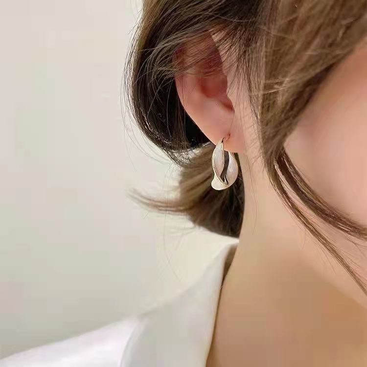 French-style niche earrings, Korean chic Internet celebrity's 2025 new trendy summer light luxury stud earrings Application Scenario
