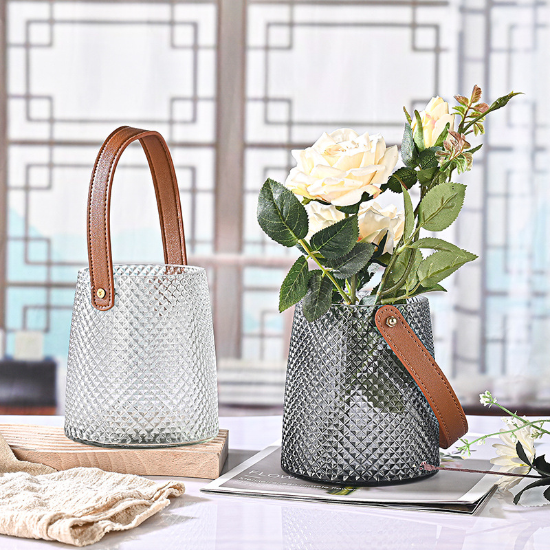ins Nordic-style handle vase, new Douyin large-mouth vase, hydroponic glass vase for home decoration full figure