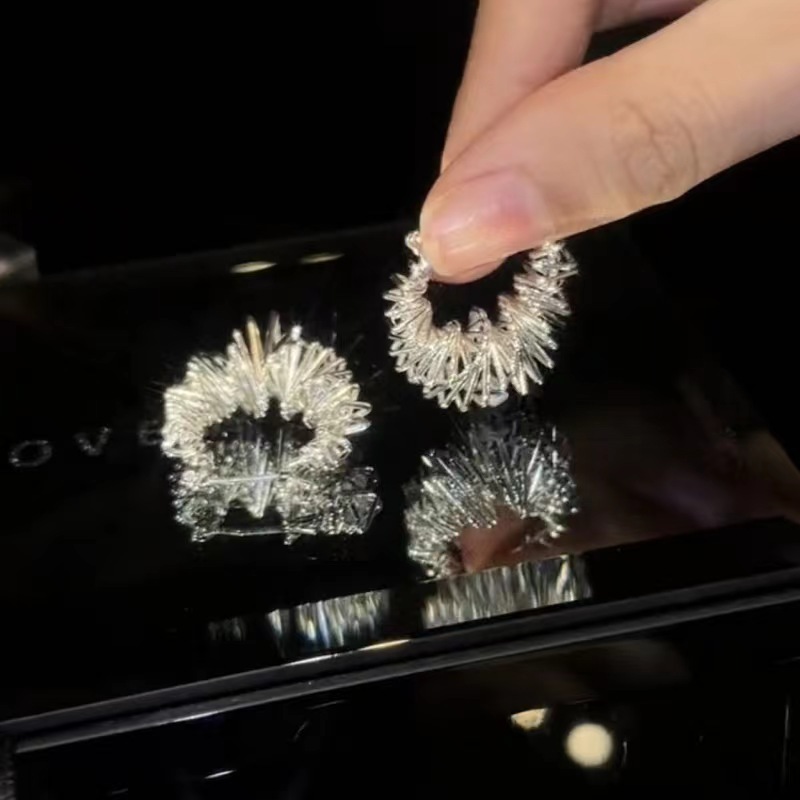 Unique and distinctive, intricately wound hollowed-out circle ear buckles, simple and fashionable, cold style, high-end feel, women's 2025 new earrings trend Application Scenario