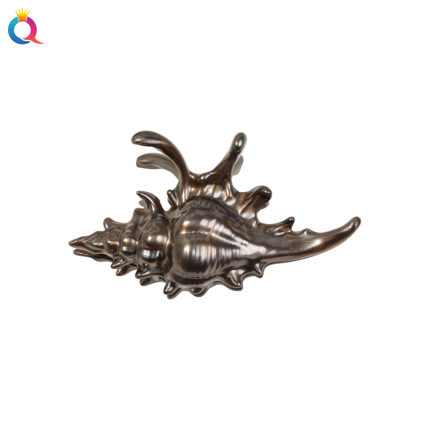 Qiyue's new Venus Sea Conch grappling clip, Shark clip, ocean hair accessory, high-end and niche design style Item Picture