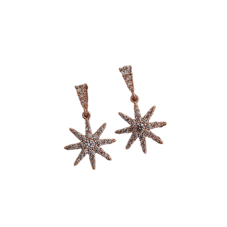 Korean-style diamond-encrusted snowflake pendant earrings for women, a light luxury high-end design, a niche Instagram exquisite and versatile fashionable ear accessory Item Picture