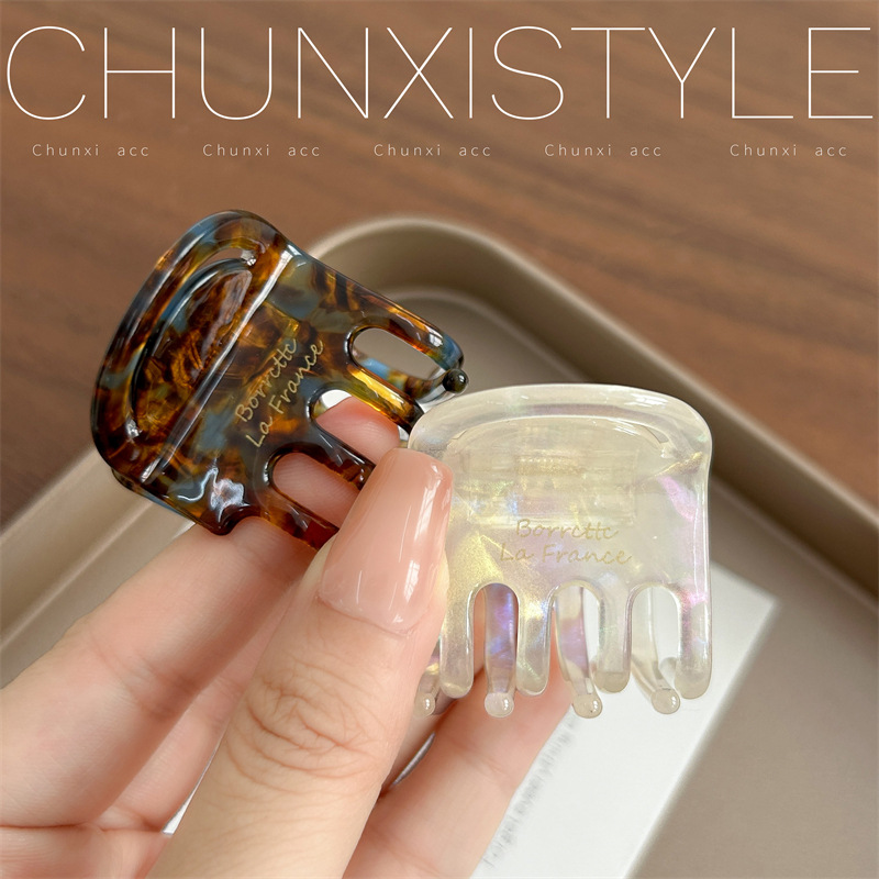 Fashionable and high-end acetate small claw clip, princess hair clip at the back of the head, simple high ponytail clip, headwear and hair clip Application Scenario
